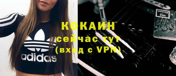 эйфоретик Аркадак