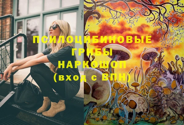 эйфоретик Аркадак