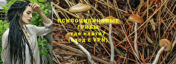 эйфоретик Аркадак