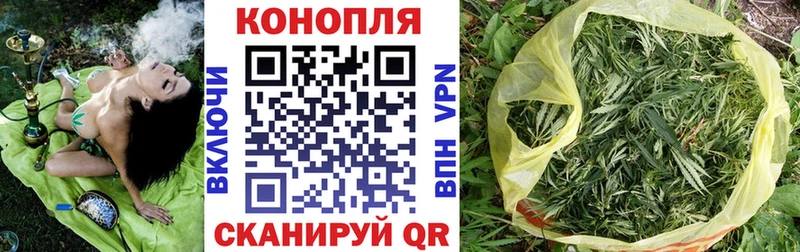 где купить наркотик  Эртиль  Конопля марихуана 